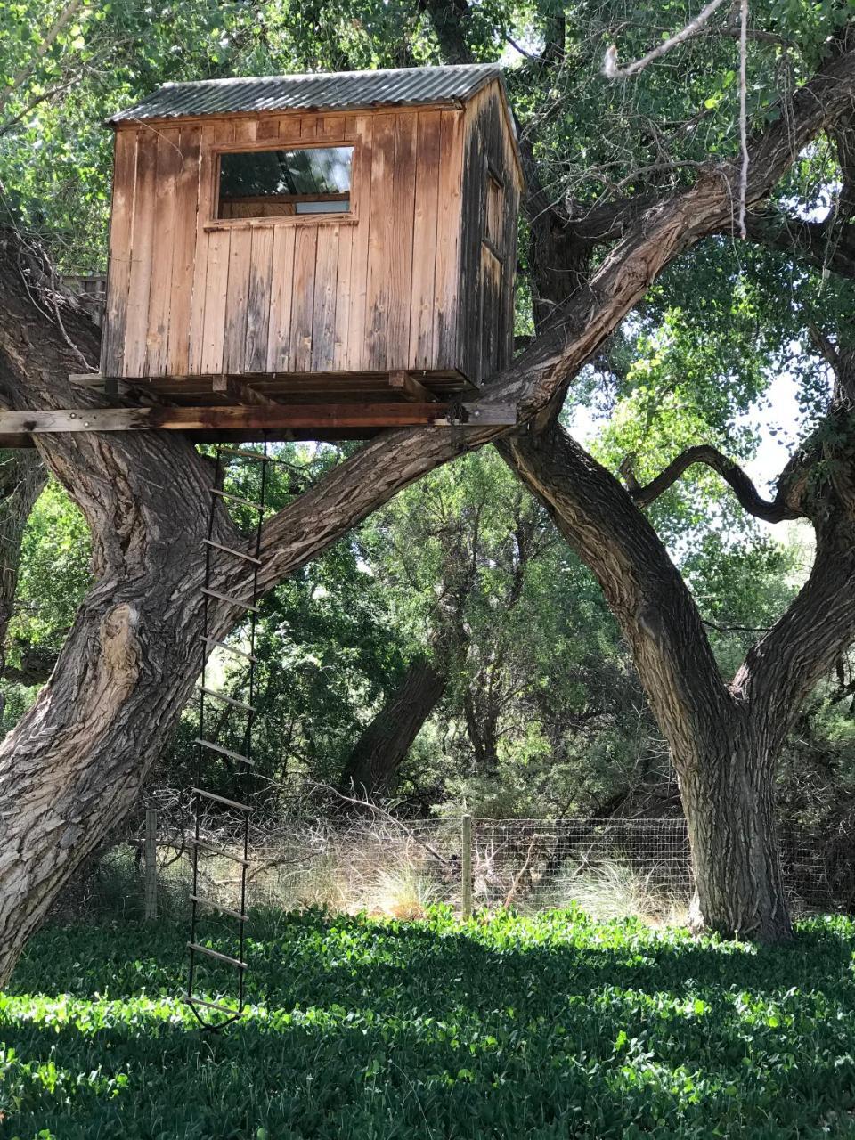 Morning Star Bed & Breakfast Of Corrales Esterno foto