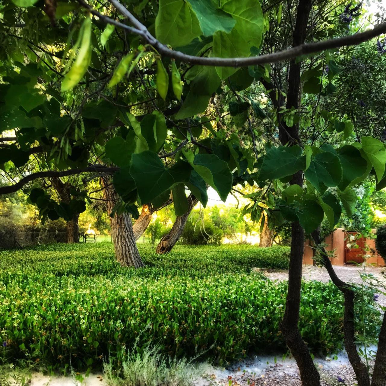 Morning Star Bed & Breakfast Of Corrales Esterno foto